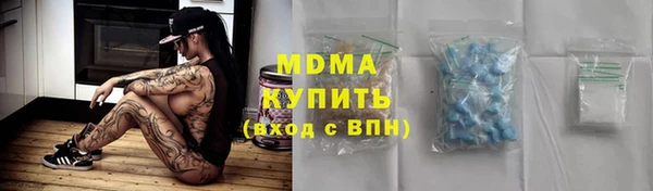 прущие грибы Надым