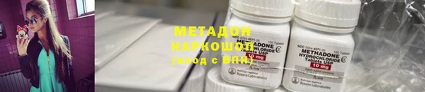 прущие грибы Надым