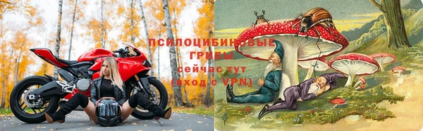 соль курить ск Алзамай