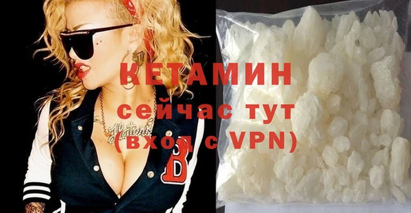 хмурый Аркадак