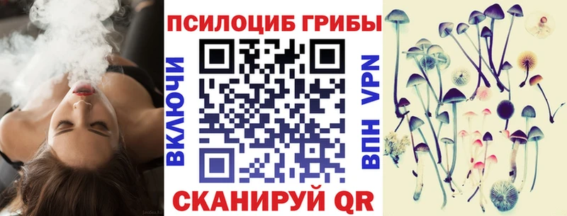 Галлюциногенные грибы GOLDEN TEACHER наркотики Тбилисская